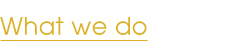What we do